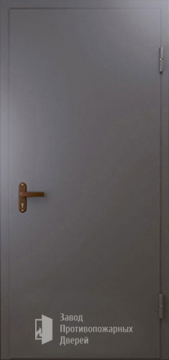 Фото двери «Техническая дверь №1 однопольная» в Ивантеевке