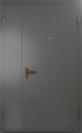 Фото двери «Техническая дверь №6 полуторная» в Ивантеевке